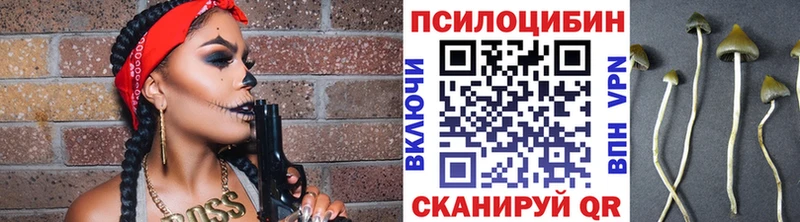 Купить где  Салаир  Галлюциногенные грибы мухоморы 