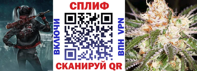 Купить  Салаир  Канабис конопля 